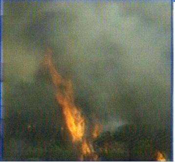 Fires in Lebanon